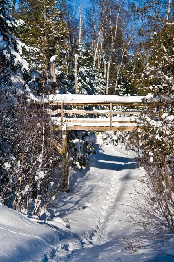 Poplar Creek Guesthouse Grand Marais Luaran gambar